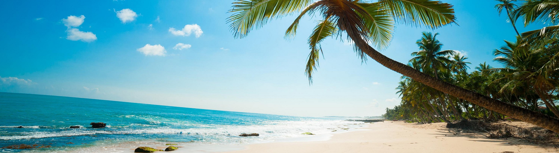 Caribbean